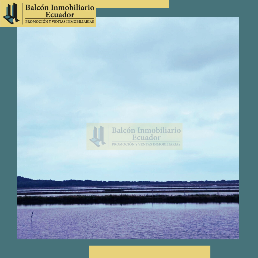 CAMARONERA 270 HECTAREAS (1) (1).pdf (1)