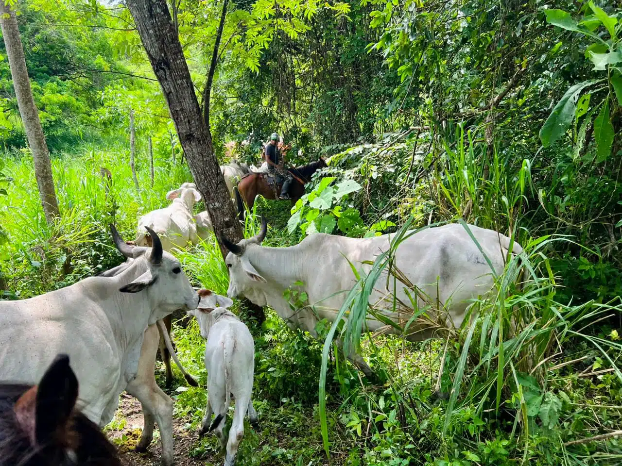 WhatsApp Image 2026-03-26 at 1.38.54 PM2